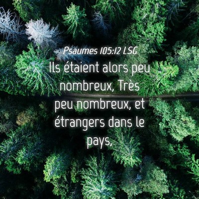 Picture 04 - Psaumes 105:12 LSG - Ils étaient alors peu nombreux, Très peu - Bible Verse Picture