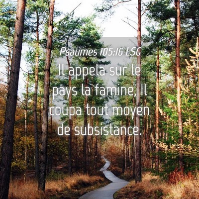 Picture 04 - Psaumes 105:16 LSG - Il appela sur le pays la famine, Il coupa tout - Bible Verse Picture