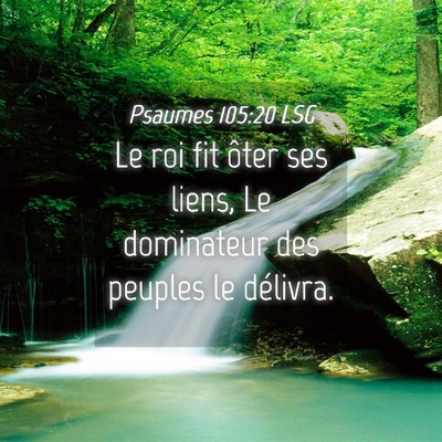 Picture 04 - Psaumes 105:20 LSG - Le roi fit ôter ses liens, Le dominateur des - Bible Verse Picture