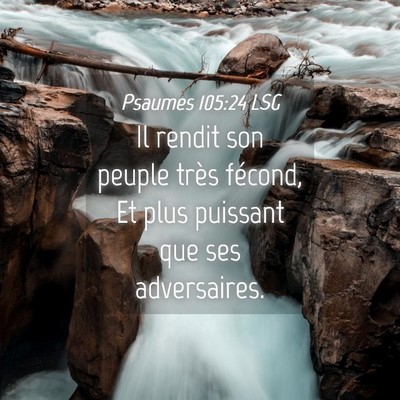 Picture 04 - Psaumes 105:24 LSG - Il rendit son peuple très fécond, Et plus - Bible Verse Picture