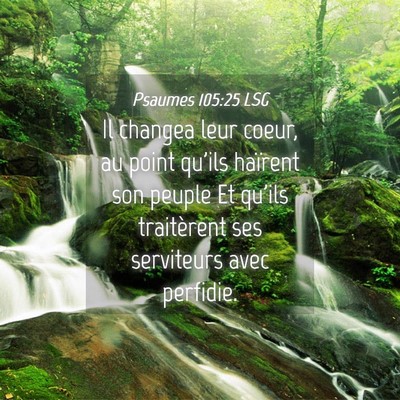 Picture 04 - Psaumes 105:25 LSG - Il changea leur coeur, au point qu'ils haïrent - Bible Verse Picture