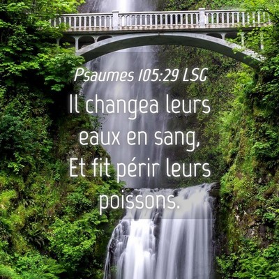 Picture 04 - Psaumes 105:29 LSG - Il changea leurs eaux en sang, Et fit périr - Bible Verse Picture