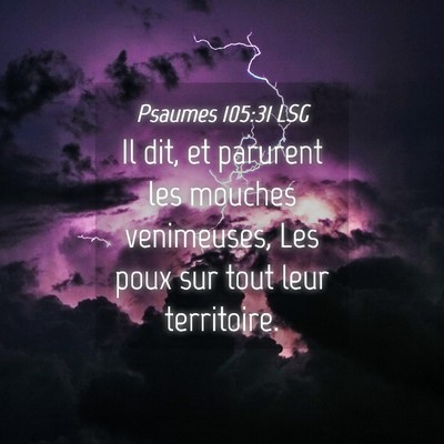 Picture 04 - Psaumes 105:31 LSG - Il dit, et parurent les mouches venimeuses, Les - Bible Verse Picture