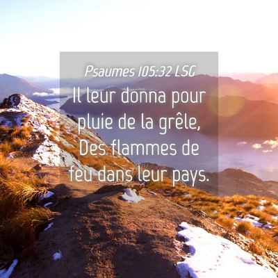 Picture 04 - Psaumes 105:32 LSG - Il leur donna pour pluie de la grêle, Des - Bible Verse Picture