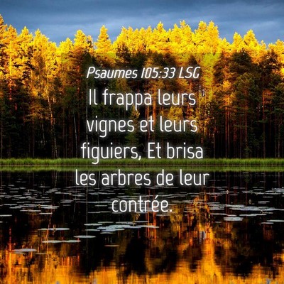 Picture 04 - Psaumes 105:33 LSG - Il frappa leurs vignes et leurs figuiers, Et - Bible Verse Picture