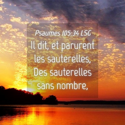 Picture 04 - Psaumes 105:34 LSG - Il dit, et parurent les sauterelles, Des - Bible Verse Picture
