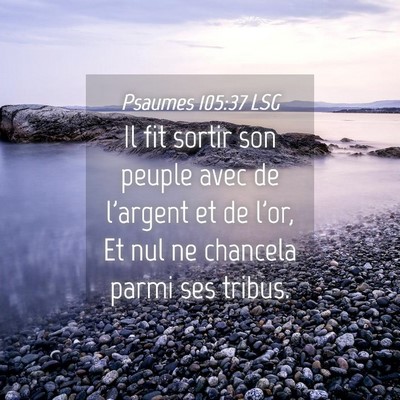 Picture 04 - Psaumes 105:37 LSG - Il fit sortir son peuple avec de l'argent et de - Bible Verse Picture
