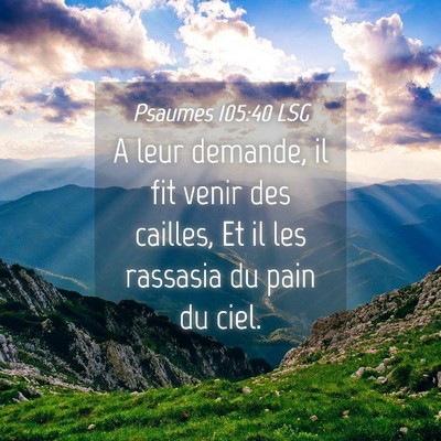 Picture 04 - Psaumes 105:40 LSG - A leur demande, il fit venir des cailles, Et il - Bible Verse Picture
