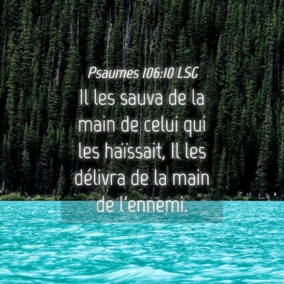 Picture 04 - Psaumes 106:10 LSG - Il les sauva de la main de celui qui les - Bible Verse Picture