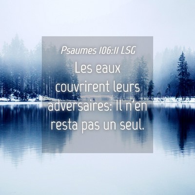 Picture 04 - Psaumes 106:11 LSG - Les eaux couvrirent leurs adversaires: Il n'en - Bible Verse Picture