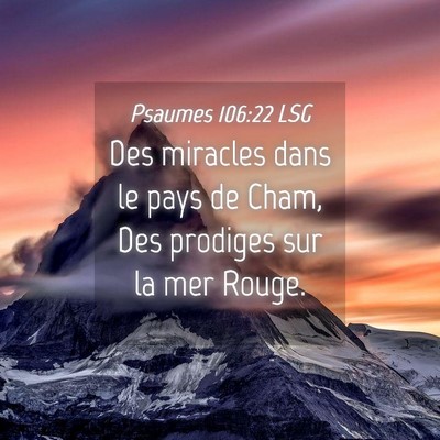Picture 04 - Psaumes 106:22 LSG - Des miracles dans le pays de Cham, Des prodiges - Bible Verse Picture