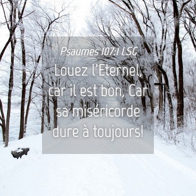 Picture 04 - Psaumes 107:1 LSG - Louez l'Eternel, car il est bon, Car sa - Bible Verse Picture