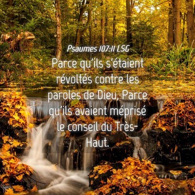 Picture 04 - Psaumes 107:11 LSG - Parce qu'ils s'étaient révoltés contre les - Bible Verse Picture