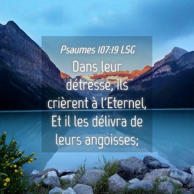 Picture 04 - Psaumes 107:19 LSG - Dans leur détresse, ils crièrent à l'Eternel, - Bible Verse Picture