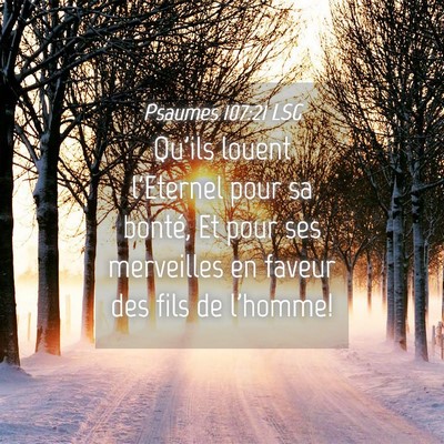Picture 04 - Psaumes 107:21 LSG - Qu'ils louent l'Eternel pour sa bonté, Et pour - Bible Verse Picture