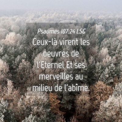 Picture 04 - Psaumes 107:24 LSG - Ceux-là virent les oeuvres de l'Eternel Et ses - Bible Verse Picture
