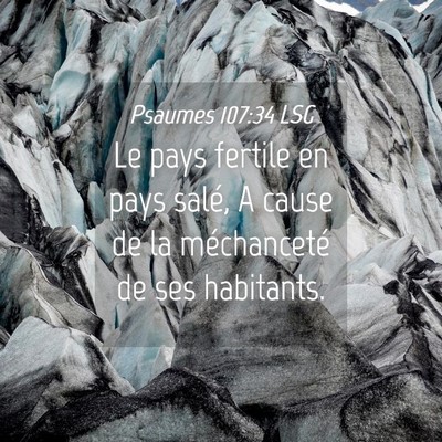 Picture 04 - Psaumes 107:34 LSG - Le pays fertile en pays salé, A cause de la - Bible Verse Picture