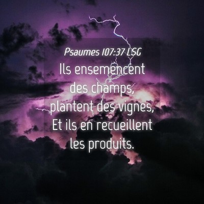 Picture 04 - Psaumes 107:37 LSG - Ils ensemencent des champs, plantent des vignes, - Bible Verse Picture