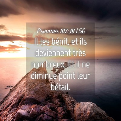 Picture 04 - Psaumes 107:38 LSG - Il les bénit, et ils deviennent très nombreux, - Bible Verse Picture