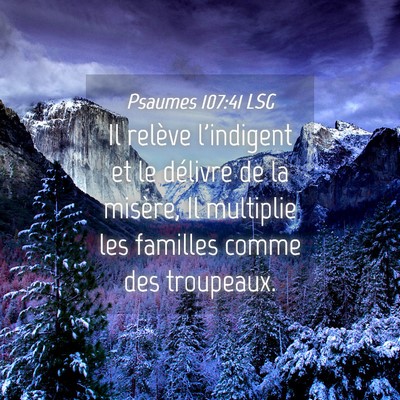 Picture 04 - Psaumes 107:41 LSG - Il relève l'indigent et le délivre de la - Bible Verse Picture