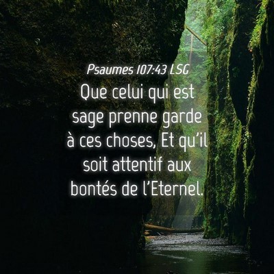 Picture 04 - Psaumes 107:43 LSG - Que celui qui est sage prenne garde à ces - Bible Verse Picture