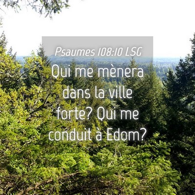 Picture 04 - Psaumes 108:10 LSG - Qui me mènera dans la ville forte? Qui me - Bible Verse Picture