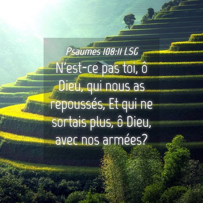 Picture 04 - Psaumes 108:11 LSG - N'est-ce pas toi, ô Dieu, qui nous as - Bible Verse Picture