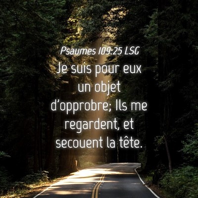 Picture 04 - Psaumes 109:25 LSG - Je suis pour eux un objet d'opprobre; Ils me - Bible Verse Picture
