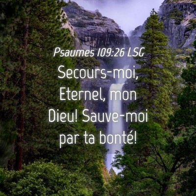 Picture 04 - Psaumes 109:26 LSG - Secours-moi, Eternel, mon Dieu! Sauve-moi par ta - Bible Verse Picture
