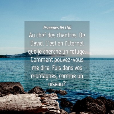 Picture 04 - Psaumes 11:1 LSG - Au chef des chantres. De David. C'est en - Bible Verse Picture