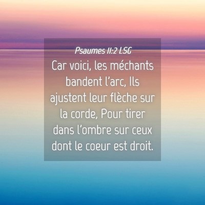 Picture 04 - Psaumes 11:2 LSG - Car voici, les méchants bandent l'arc, Ils - Bible Verse Picture