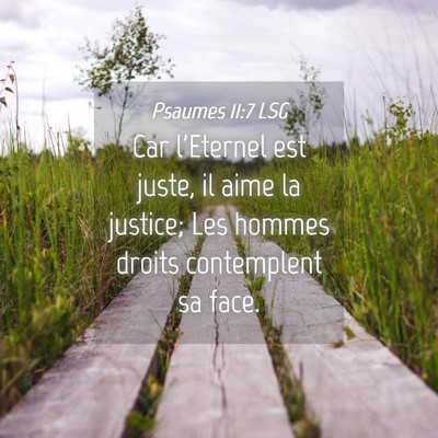 Picture 04 - Psaumes 11:7 LSG - Car l'Eternel est juste, il aime la justice; Les - Bible Verse Picture