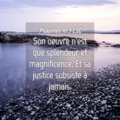 Picture 04 - Psaumes 111:3 LSG - Son oeuvre n'est que splendeur et magnificence, - Bible Verse Picture
