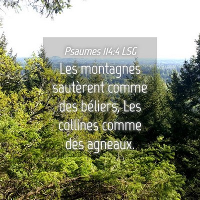 Picture 04 - Psaumes 114:4 LSG - Les montagnes sautèrent comme des béliers, Les - Bible Verse Picture