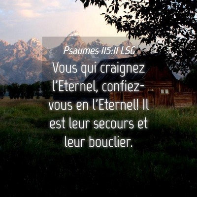 Picture 04 - Psaumes 115:11 LSG - Vous qui craignez l'Eternel, confiez-vous en - Bible Verse Picture