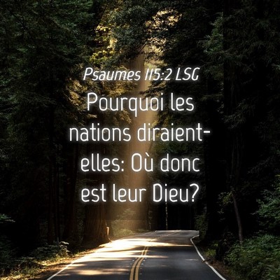 Picture 04 - Psaumes 115:2 LSG - Pourquoi les nations diraient-elles: Où donc est - Bible Verse Picture