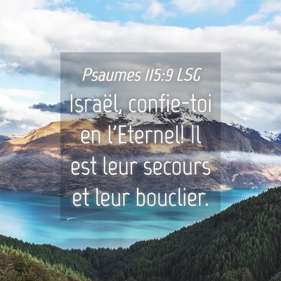 Picture 04 - Psaumes 115:9 LSG - Israël, confie-toi en l'Eternel! Il est leur - Bible Verse Picture