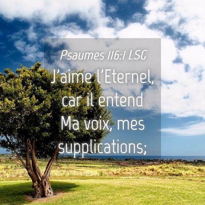 Picture 04 - Psaumes 116:1 LSG - J'aime l'Eternel, car il entend Ma voix, mes - Bible Verse Picture