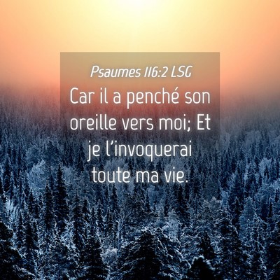 Picture 04 - Psaumes 116:2 LSG - Car il a penché son oreille vers moi; Et je - Bible Verse Picture