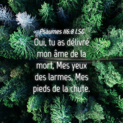 Picture 04 - Psaumes 116:8 LSG - Oui, tu as délivré mon âme de la mort, Mes - Bible Verse Picture