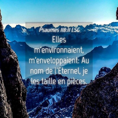 Picture 04 - Psaumes 118:11 LSG - Elles m'environnaient, m'enveloppaient: Au nom de - Bible Verse Picture