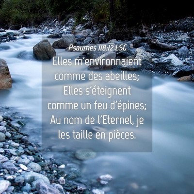 Picture 04 - Psaumes 118:12 LSG - Elles m'environnaient comme des abeilles; Elles - Bible Verse Picture