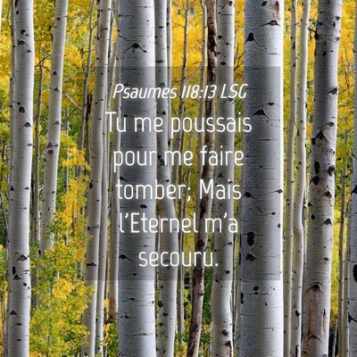Picture 04 - Psaumes 118:13 LSG - Tu me poussais pour me faire tomber; Mais - Bible Verse Picture