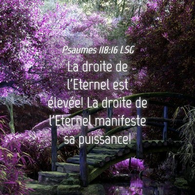 Picture 04 - Psaumes 118:16 LSG - La droite de l'Eternel est élevée! La droite de - Bible Verse Picture