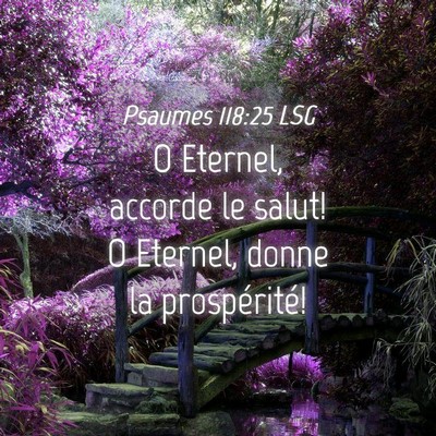 Picture 04 - Psaumes 118:25 LSG - O Eternel, accorde le salut! O Eternel, donne la - Bible Verse Picture