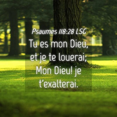 Picture 04 - Psaumes 118:28 LSG - Tu es mon Dieu, et je te louerai; Mon Dieu! je - Bible Verse Picture