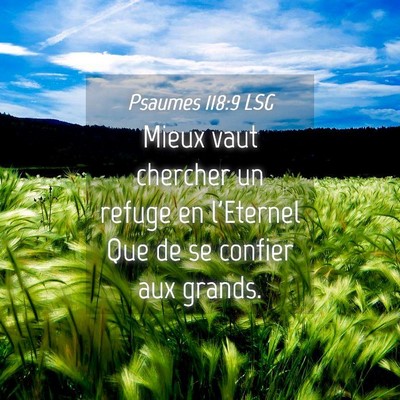 Picture 04 - Psaumes 118:9 LSG - Mieux vaut chercher un refuge en l'Eternel Que de - Bible Verse Picture