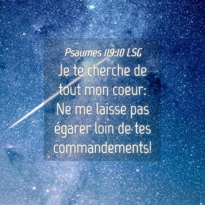 Picture 04 - Psaumes 119:10 LSG - Je te cherche de tout mon coeur: Ne me laisse pas - Bible Verse Picture