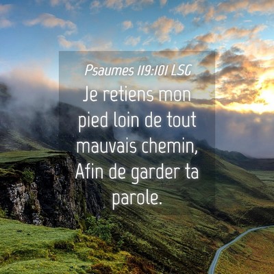 Picture 04 - Psaumes 119:101 LSG - Je retiens mon pied loin de tout mauvais chemin, - Bible Verse Picture