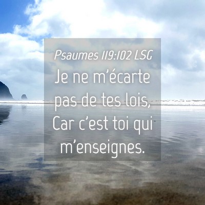 Picture 04 - Psaumes 119:102 LSG - Je ne m'écarte pas de tes lois, Car c'est toi - Bible Verse Picture